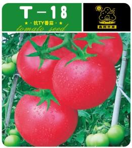 T-18——番茄种子